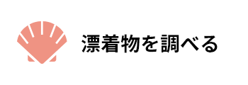 漂着物を調べる