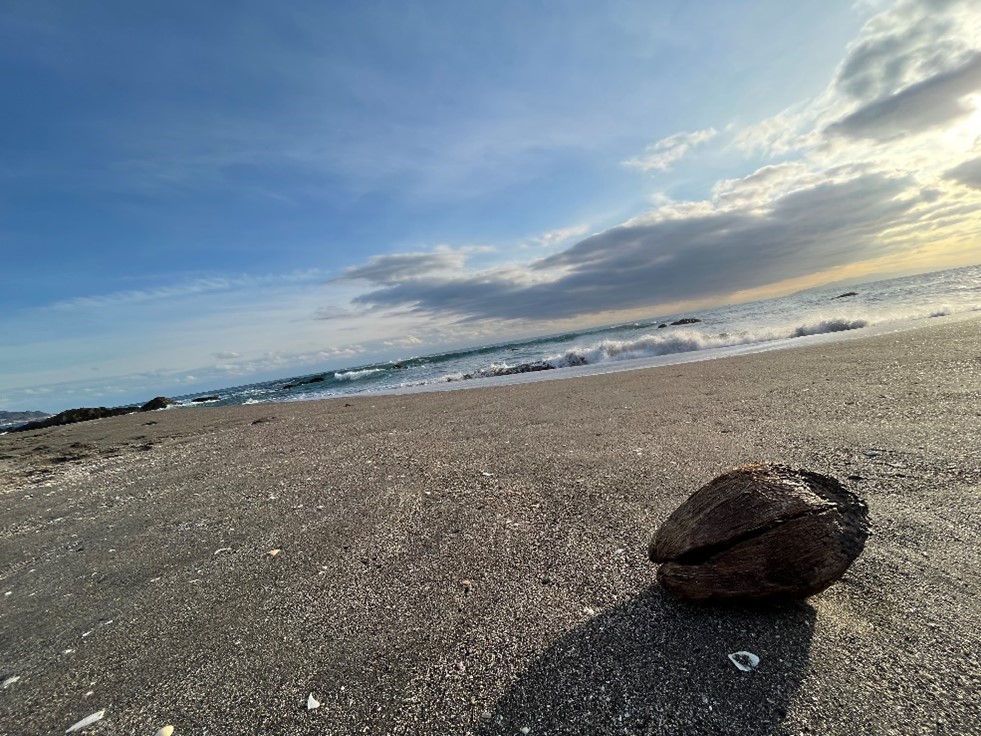 海流とは