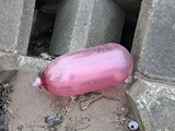風船ブイ